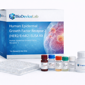 Human Epidermal Growth Factor Receptor 2 (HER2/ErbB2) ELISA Kit