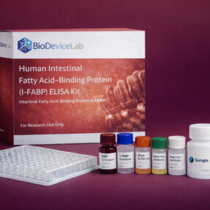 Human Intestinal Fatty Acid–Binding Protein (I-FABP) ELISA Kit