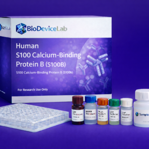 Human S100 Calcium-Binding Protein B (S100B) ELISA Kit