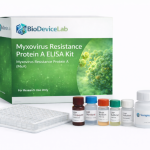 Myxovirus Resistance Protein A (MxA) ELISA Kit