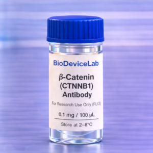 β-Catenin (CTNNB1) Antibody (RUO)- 100 uL