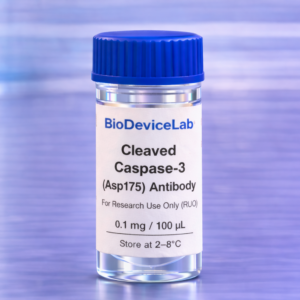 Cleaved Caspase-3 (Asp175) Antibody (RUO)- 100 uL