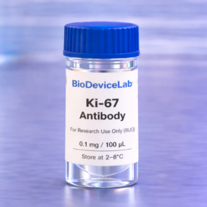 Ki-67 (MKI67) Antibody – Proliferation Marker (RUO)- 100 uL