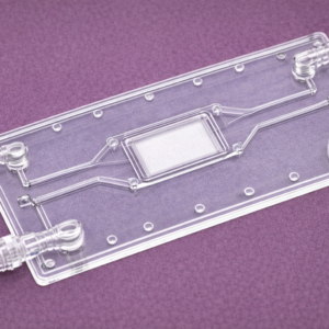 Membrane-Integrated Microfluidic Chip with Luer Lock