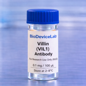 Villin (VIL1) Antibody (RUO)- 100 uL