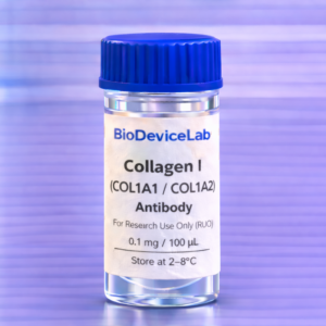 Collagen I (COL1A1/COL1A2) Antibody (RUO)- 100 uL
