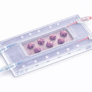 Pancreas / Islet-on-Chip Microfluidic Platform